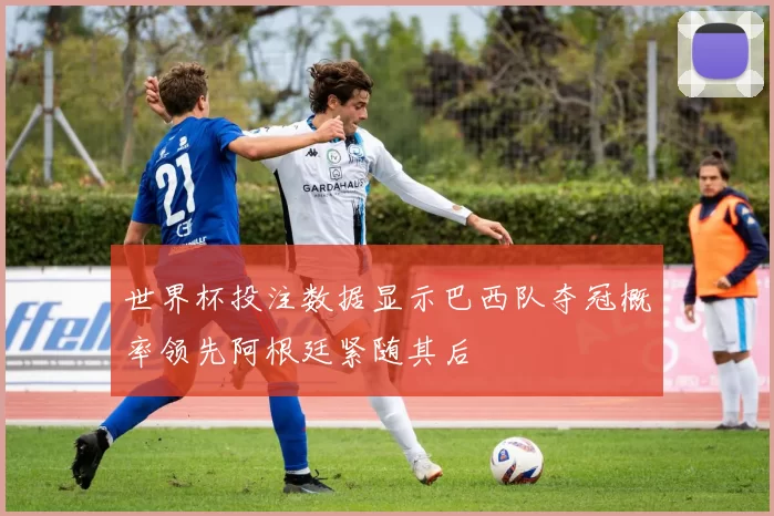 世界杯投注数据显示巴西队夺冠概率领先阿根廷紧随其后