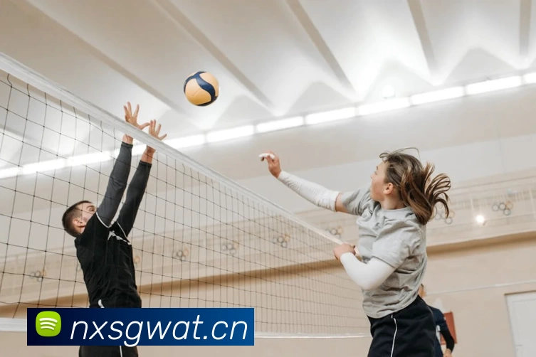 8868体育服务体系